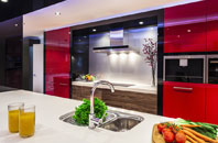 Somers Town kitchen extensions